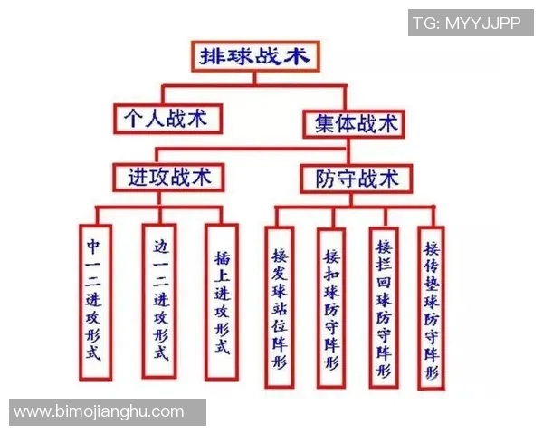 广州排球队反击战术深度解析与实战应用探讨